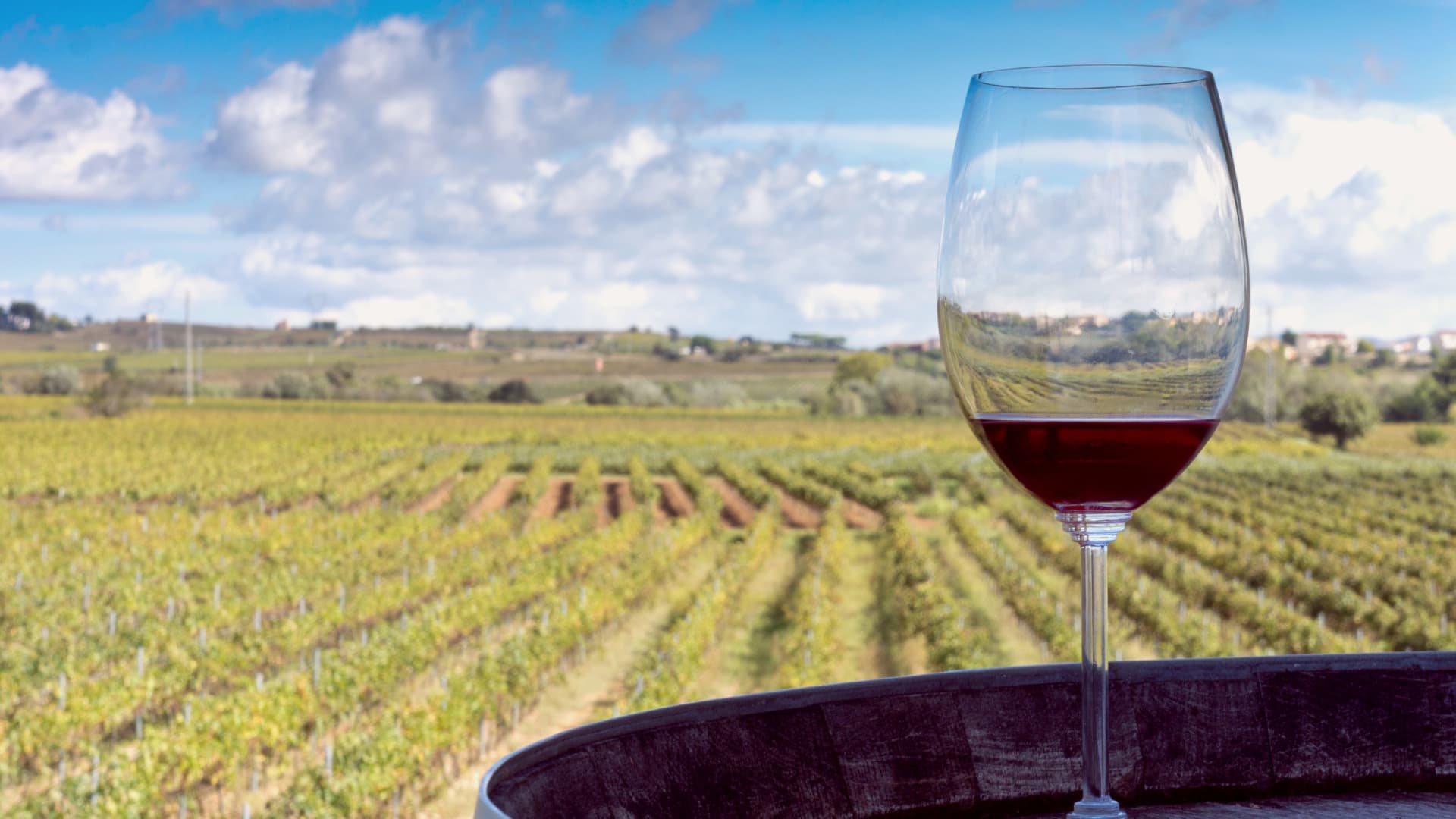 Vino Tannat uruguayo